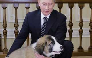 Семья Владимира Путина сегодня: любимые дочки, «сладкие» внуки, бывшая жена