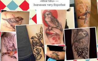 Тату воробей: что символизирует и для кого подходит
